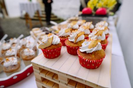 otvoritev grad Podsreda, 26.3.2025_Izidor Kotnik (122)